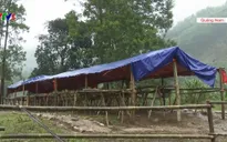 Gấp rút xây dựng khu tái định cư cho người dân vùng lũ