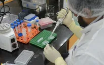 Các hãng dược phẩm hàng đầu của Ấn Độ xin cấp phép sử dụng khẩn cấp vaccine COVID-19