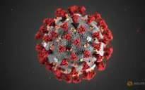 Tây Ban Nha đã xác nhận ca đầu tiên nhiễm virus Corona mới