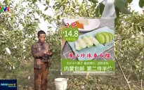 Người nông dân Trung Quốc đổi đời nhờ thương mại điện tử