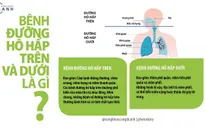 Bệnh lý đường hô hấp trên và dưới: Biết để phòng, điều trị hiệu quả