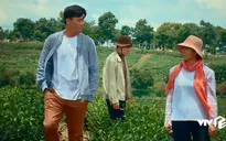 Nước mắt loài cỏ dại - Tập 24: Việt căm thù Khang đến tận cùng