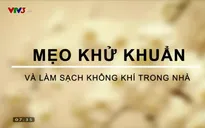 Làm sạch không gian sống bằng những cách đơn giản mà hiệu quả