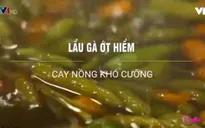 Lẩu gà ớt hiểm: Cay nồng khó cưỡng