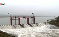 Trên 95% diện tích trung du và Đồng bằng Bắc Bộ có nước gieo cấy