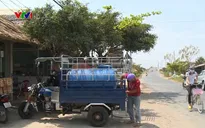 Hàng nghìn hộ dân Bến Tre phải sử dụng nước nhiễm mặn