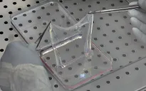 Da nhân tạo có thể được... in để hỗ trợ chữa trị bệnh nhân bị bỏng