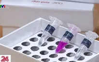 Nhóm nghiên cứu Việt công bố phương pháp phát hiện nhanh 2019-nCoV