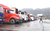 Thêm 580 tấn nông sản Việt Nam được thông quan qua cửa khẩu Lào Cai
