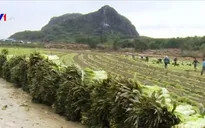 Trung Quốc nối lại hoạt động sản xuất trong nước