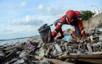 "Người nhện" nhặt rác ở Indonesia
