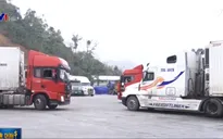Lạng Sơn: Gần 500 xe nông sản đã được thông quan