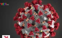 Hội nghị toàn cầu thúc đẩy nghiên cứu vaccine ngừa Covid-19 (nCoV)