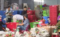 Kết nối chuỗi bán lẻ để tiêu thụ nông sản cho các địa phương