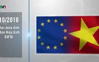 Tiến trình đến phê chuẩn của EVFTA