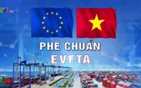 Phê chuẩn EVFTA và EVIPA: Việt Nam - Đối tác tin cậy của châu Âu