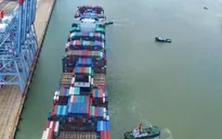 EU kỳ vọng vào nhiều lợi ích thương mại từ EVFTA