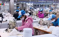 Nhiều nước đặt mua khẩu trang của Việt Nam