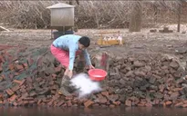 Ba chàng ngốc – Nụ cười châm biếm về vấn đề ô nhiễm môi trường