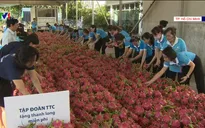Doanh nghiệp, người dân TP.HCM chung tay tiêu thụ thanh long cho nông dân