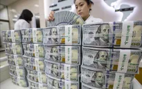 Đồng USD trở thành kênh đầu tư an toàn trong mùa dịch