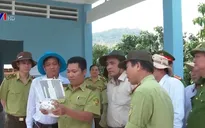 Kiểm tra tình hình khô hạn, phòng chống cháy rừng tại An Giang