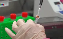 Cuộc đua tìm kiếm vaccine phòng COVID-19 tại Mỹ