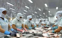 Xuất khẩu thủy sản sang nhiều thị trường giảm sâu