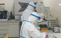 72 giờ phân lập chủng virus Corona mới