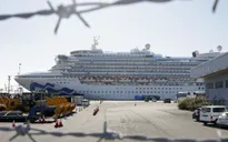 Gia tăng số người nhiễm virus Corona trên tàu Diamond Princess