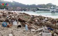 WWF công bố báo cáo về vấn nạn xả rác thải nhựa ra biển tại châu Á