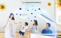 4 cách làm sạch không khí trong nhà mùa dịch cúm