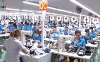 Cơ hội và áp lực từ Hiệp định EVFTA