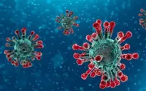 Một người nhiễm virus Corona có khả năng lây cho 5 người