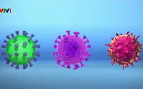 Nhật Bản phân lập thành công virus Corona mới