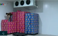 Cơ sở thu mua nông sản lỗ nặng vì dịch viêm phổi cấp do virus Corona