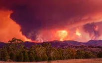 Cháy rừng nghiêm trọng tại thủ đô của Australia