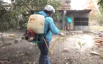 Khánh Hòa triển khai phòng ngừa dịch bệnh gia súc, gia cầm