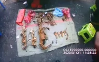 Trung Quốc soạn luật chống tiêu thụ động vật hoang dã