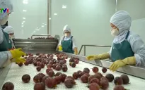Còn nhiều tiềm năng và dư địa cho chế biến sâu nông sản