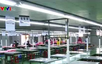 Đào tạo lao động Việt Nam thay thế sự thiếu hụt của lao động nước ngoài