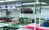 Vì sao Việt Nam quyết định tiếp nhận lại lao động Trung Quốc?