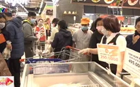 Giá tôm hùm giảm mạnh, lượng tiêu thụ ở thị trường trong nước bật tăng