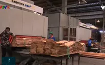 Nhiều giải pháp giữ đơn hàng xuất khẩu trước ảnh hưởng từ dịch COVID-19