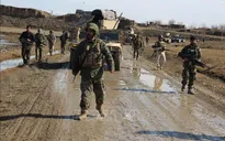Ngày 22/2, bắt đầu "Tuần giảm căng thẳng" ở Afghanistan