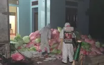 Hà Nội phát hiện đối tượng thu gom hơn 600kg khẩu trang y tế đã qua sử dụng