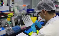 Vaccine phòng bệnh COVID-19 đã đạt thành công bước đầu trong quá trình thử nghiệm
