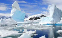 NASA công bố hình ảnh băng ở Nam Cực tan chảy sau đợt nóng kỷ lục