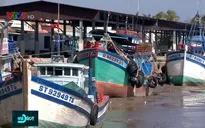 Nỗ lực không có tàu cá vi phạm, tiến tới gỡ thẻ vàng từ EC