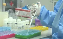 Hải Phòng chính thức vận hành máy xét nghiệm virus gây bệnh COVID-19